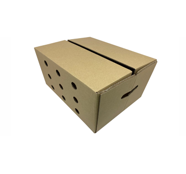 Manufacturer of Corrugated Boxes for Agriculture in Ahmednagar-Shardopasana Industries