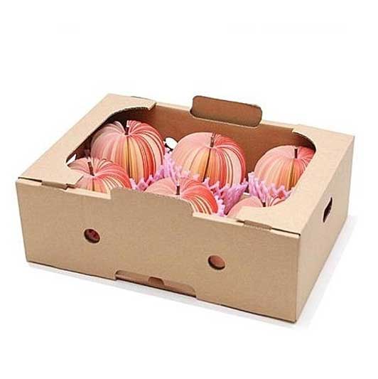 Fruit Packaging Box