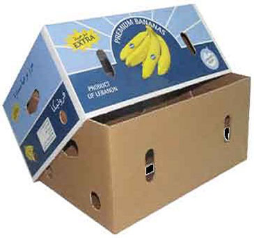 Corrugated Boxes for Food Oil Industry